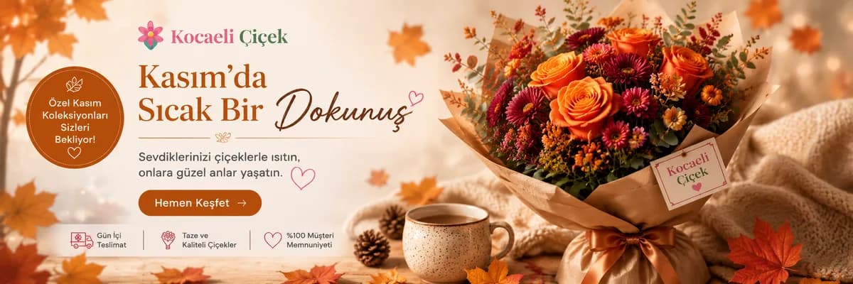 Kasım Ayı Koleksiyonu